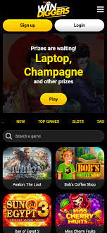 What Makes Win Diggers Casino Site Unique?